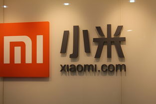 路饭网播报 小米特色功能引关注，Google AdSense广告业务意外受干扰